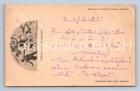 Pohlednice PAMATUJTE NA BRATRSKÉ JEDNOTY OHROŽENÉ SOKOL (ST10218)