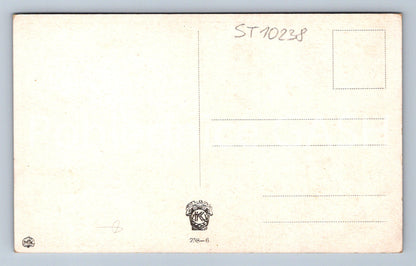 Pohlednice K. V. MUTTICH - DĚVČE ZE SLOVAČE (ST10238)