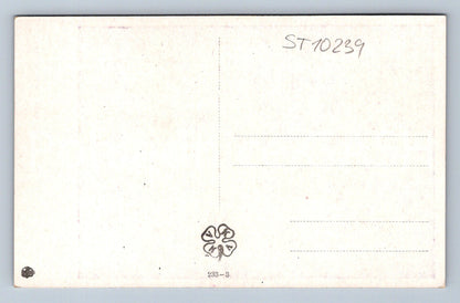 Pohlednice C. V. MUTTICH - DĚVČE Z UHERSKÉHO BRODU (ST10239)