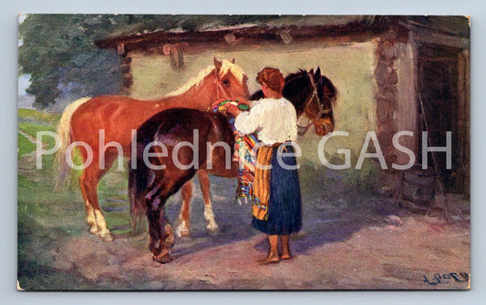 Pohlednice HORSKÉ KONĚ (ST10263)