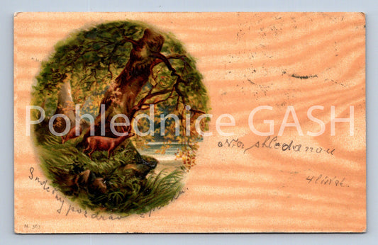 Pohlednice SRDEČNÝ POZDRAV DLOUHÁ ADRESA (ST10280)