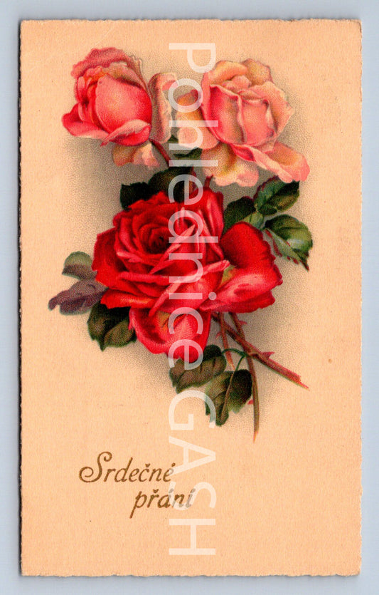Pohlednice SRDEČNÉ PŘÁNÍ (ST10325)