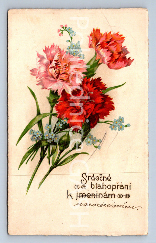 Pohlednice SRDEČNÉ BLAHOPŘÁNÍ K JMENINÁM (ST10341)