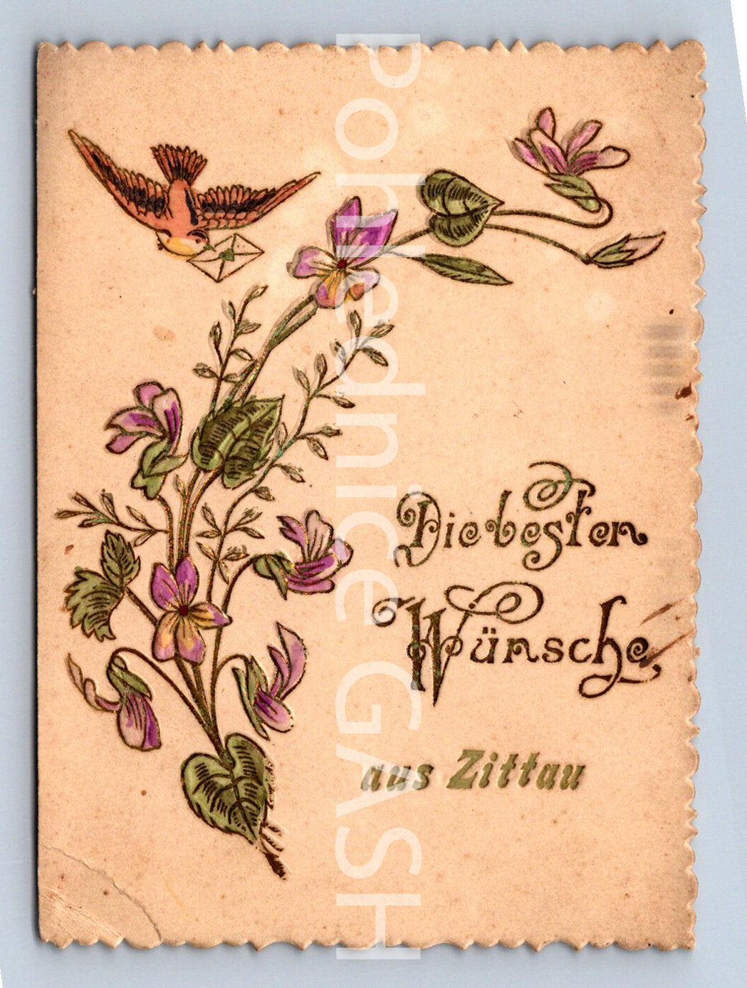 Pohlednice DIE BESTEN WÜNSCHE (ST10379)