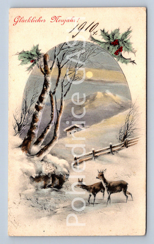 Pohlednice GLÜCKLICHES NEUJAHR (ST10404)