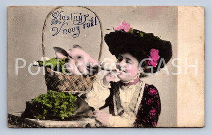 Pohlednice ŠTASTNÝ NOVÝ ROK (ST10440)
