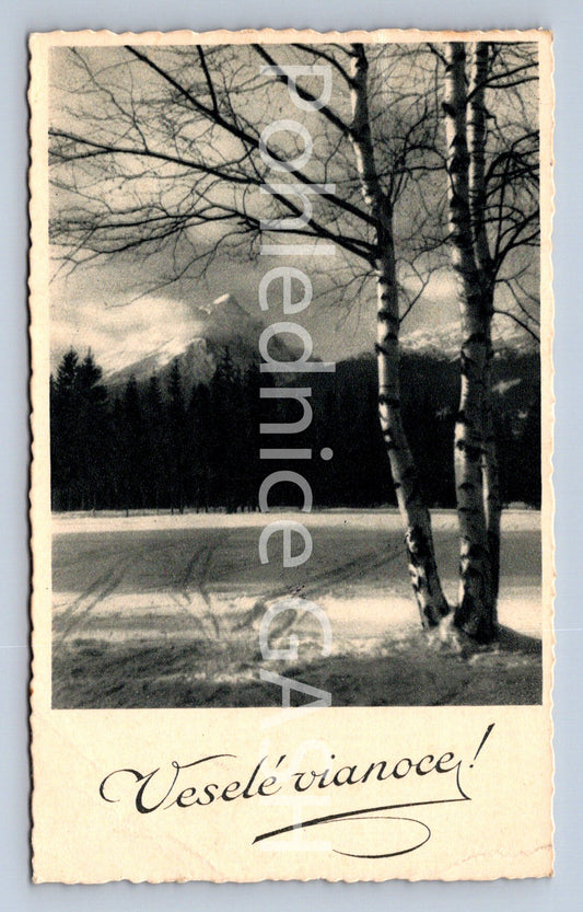 Pohlednice VESELÉ VÁNOCE (ST10466)