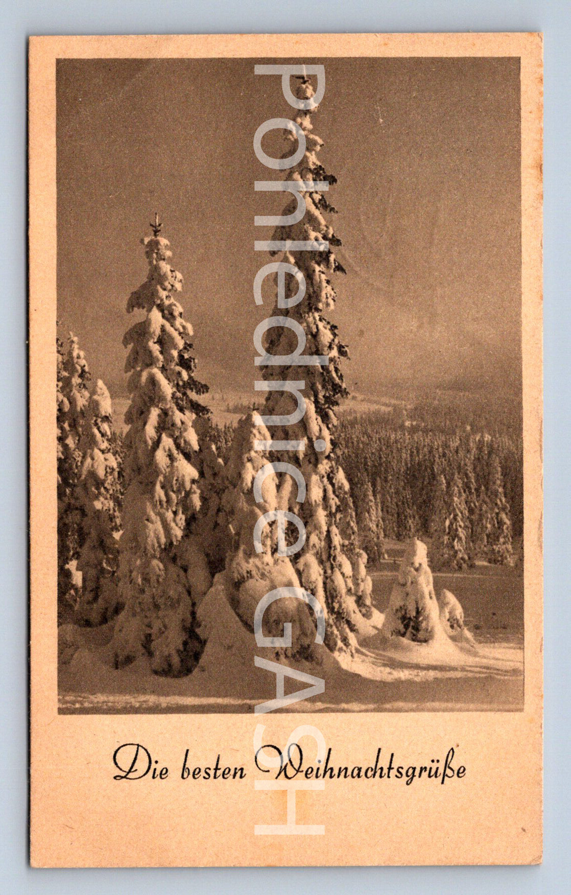 Pohlednice DIE BESTEN WEIHNACHTSGRÜSSE (ST10482)