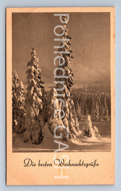 Pohlednice DIE BESTEN WEIHNACHTSGRÜSSE (ST10482)