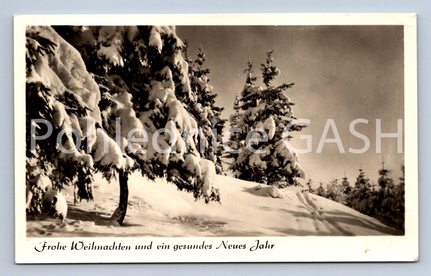 Pohlednice ZIMA (ST10490)