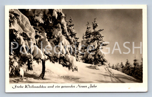Pohlednice ZIMA (ST10490)