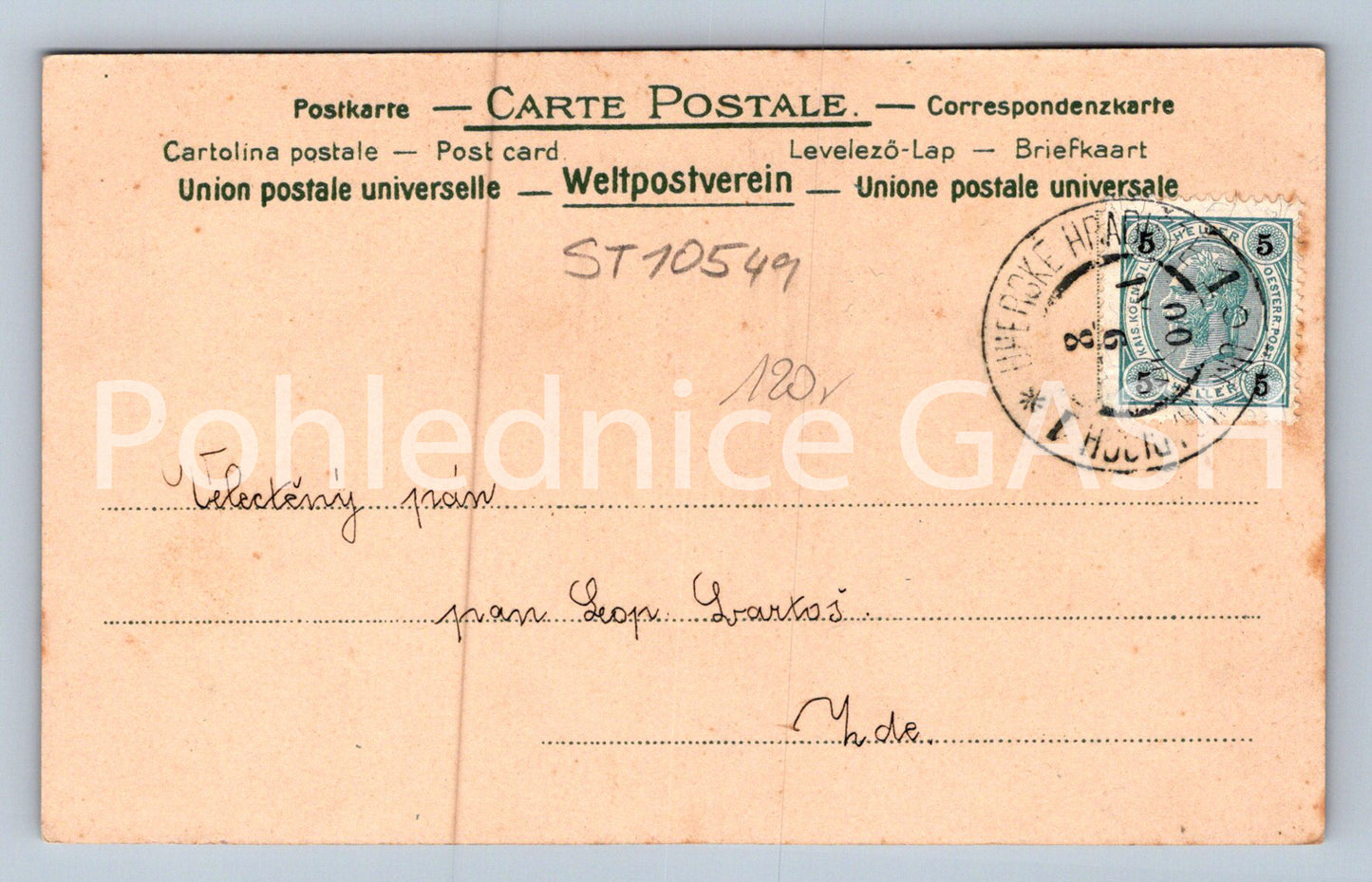 Pohlednice KVĚTINY (ST10549)