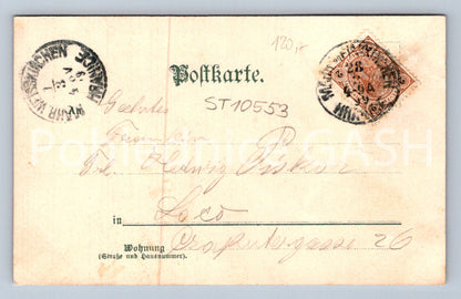 Pohlednice KVĚTINY (ST10553)