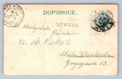 Pohlednice KVĚTINY (ST10554)