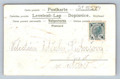 Pohlednice SRDEČNÉ PŘÁNÍ (ST10579)