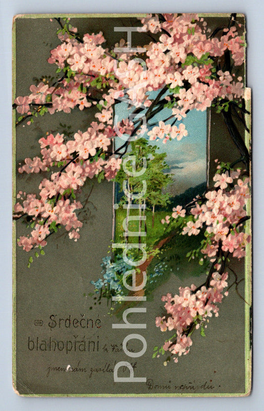 Pohlednice SRDEČNÉ BLAHOPŘÁNÍ (ST10587)