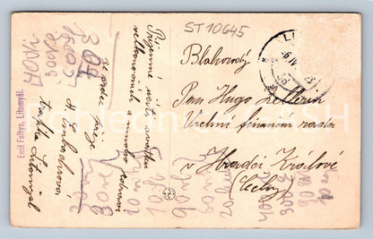 Pohlednice VELIKONOČNÍ POZDRAV Z LITOMYŠLE (ST10645)