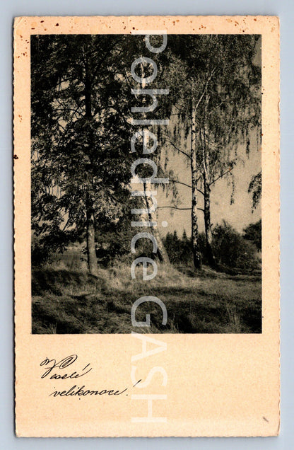 Pohlednice VESELÉ VELIKONOCE (ST10659)