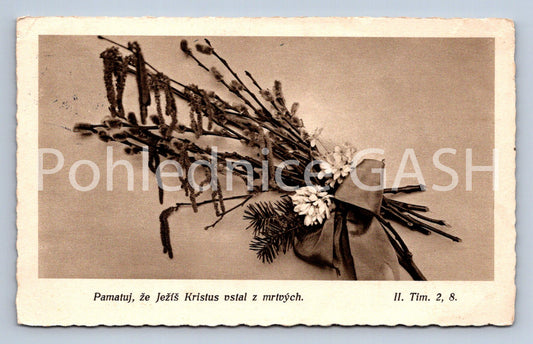 Pohlednice PAMATUJ, ŽE JEŽÍŠ KRISTUS VSTAL Z MRTVÝCH (ST10678)