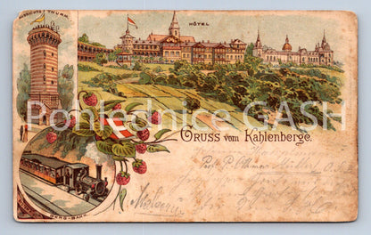 Pohlednice GRUSS VOM KAHLENBERGE (ST11782)