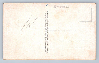 Pohlednice FLIGERAUFNAHME SLOCKERAU (ST11914)