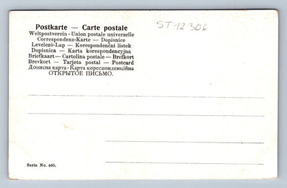 Pohlednice OBERES SCHNALSER TAL MIT SINNLAUN (ST12306)