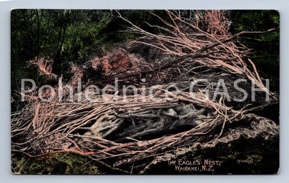 Pohlednice THE EAGLES NEST WAIRAKEI N.Z. (ST12371)