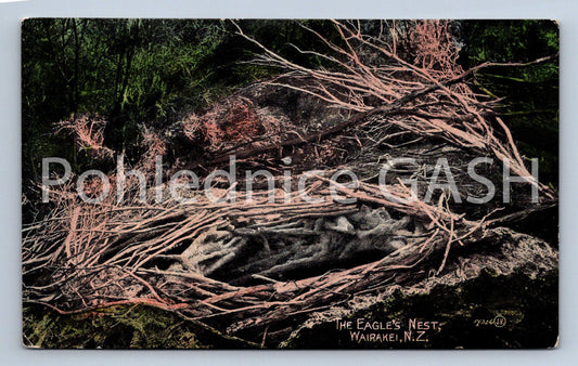 Pohlednice THE EAGLES NEST WAIRAKEI N.Z. (ST12371)