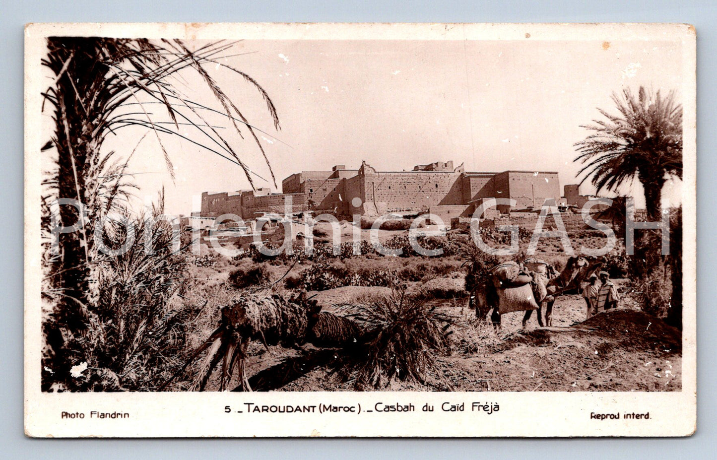 Pohlednice TAROUNDANT MAROC (ST12373)