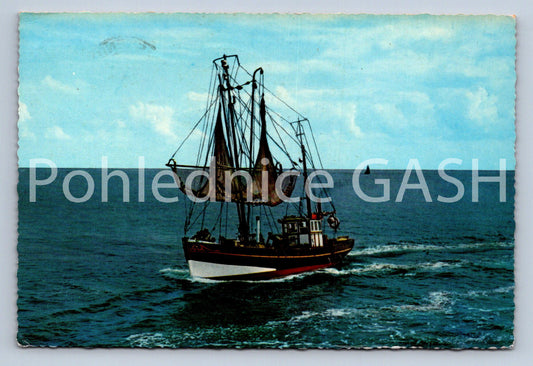Pohlednice ZO GEZOND AL SEENVIS (ST12402)