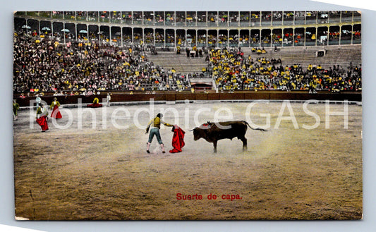 Pohlednice SURTE DE CAPA (ST12436)