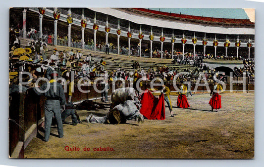 Pohlednice QUITE DE CABALLO (ST12437)