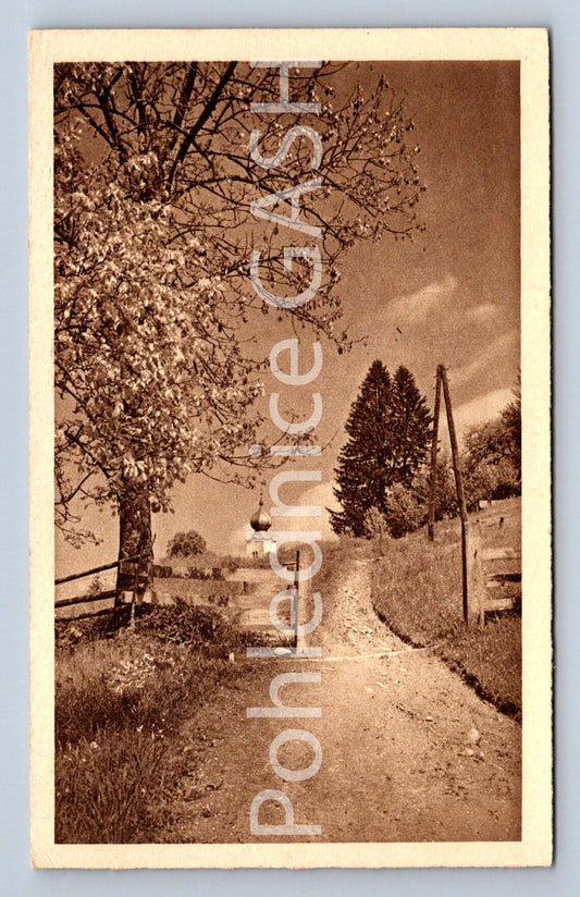 Postcard CZECH REPUBLIC (ST12442)