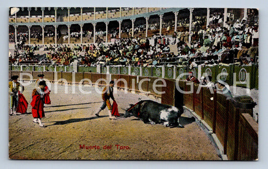 Pohlednice MUERTE DEL TORO (ST12452)