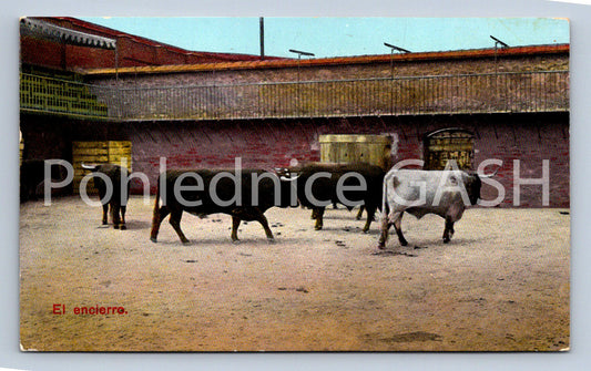 Pohlednice EL ENCIERRO (ST12456)