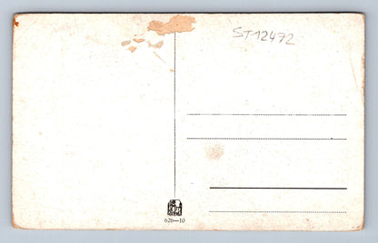 Pohlednice V ZIMĚ (ST12472)