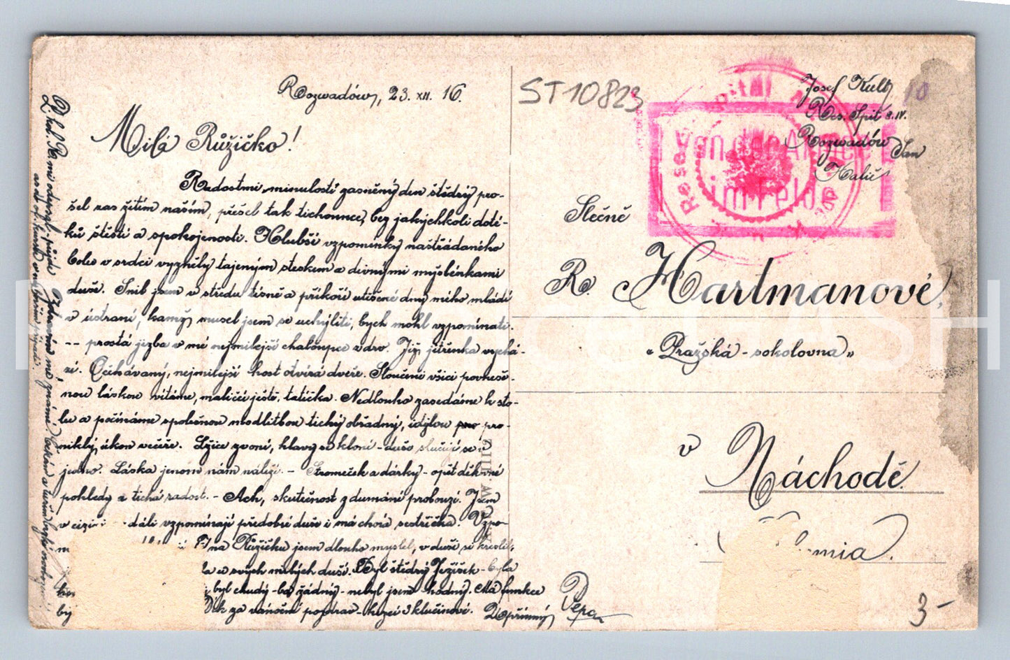 Pohlednice J. PIOTROWSKI (ST10823)