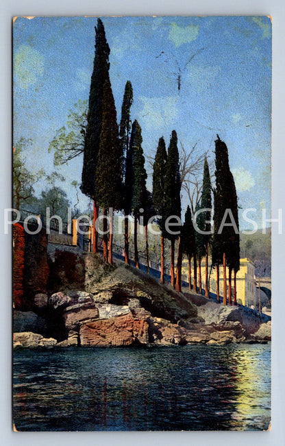 Pohlednice TOPOLY (ST10859)