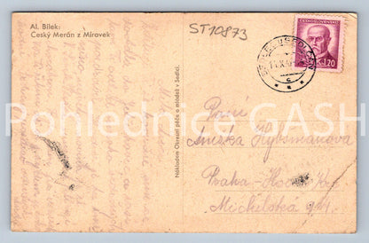 Pohlednice AL. BÍLEK - ČESKÝ MERÁN Z MÍROVEK (ST10873)