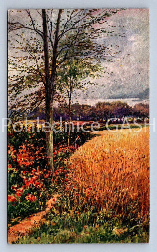 Pohlednice PICTURESQUE DEVON (ST10878)