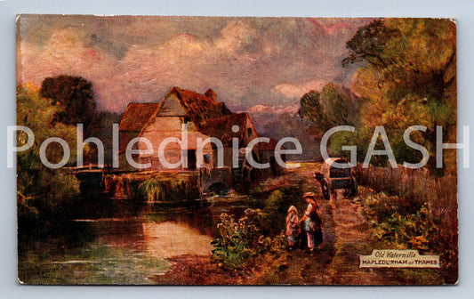 Pohlednice MAPLEDURHAM (ST10881)