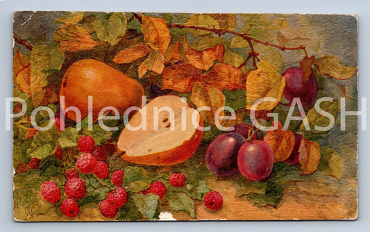 Pohlednice CHOICE FRUIT (ST10884)