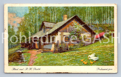 Pohlednice AKAD. MAL. A. K. PAVLÍK - PROBUZENÉ JEZERO (ST10898)