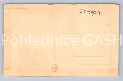 Pohlednice BABIČČIN KOFLIČEK (ST10929)