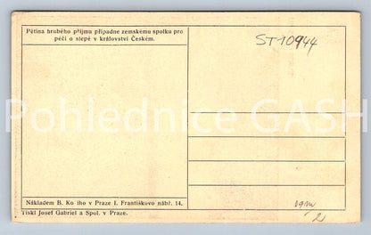 Pohlednice FR. BÍLEK - SLEPCI (ST10944)
