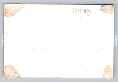 Pohlednice VŠEŽIVNOSTENSKÝ PLES (ST10994)