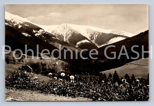 Pohlednice KRKONOŠE - JARO VE SV. PETRU (ST11051)