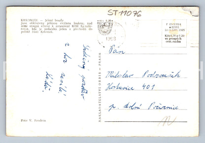 Pohlednice KRKONOŠE - JELENÍ BOUDY (ST11076)