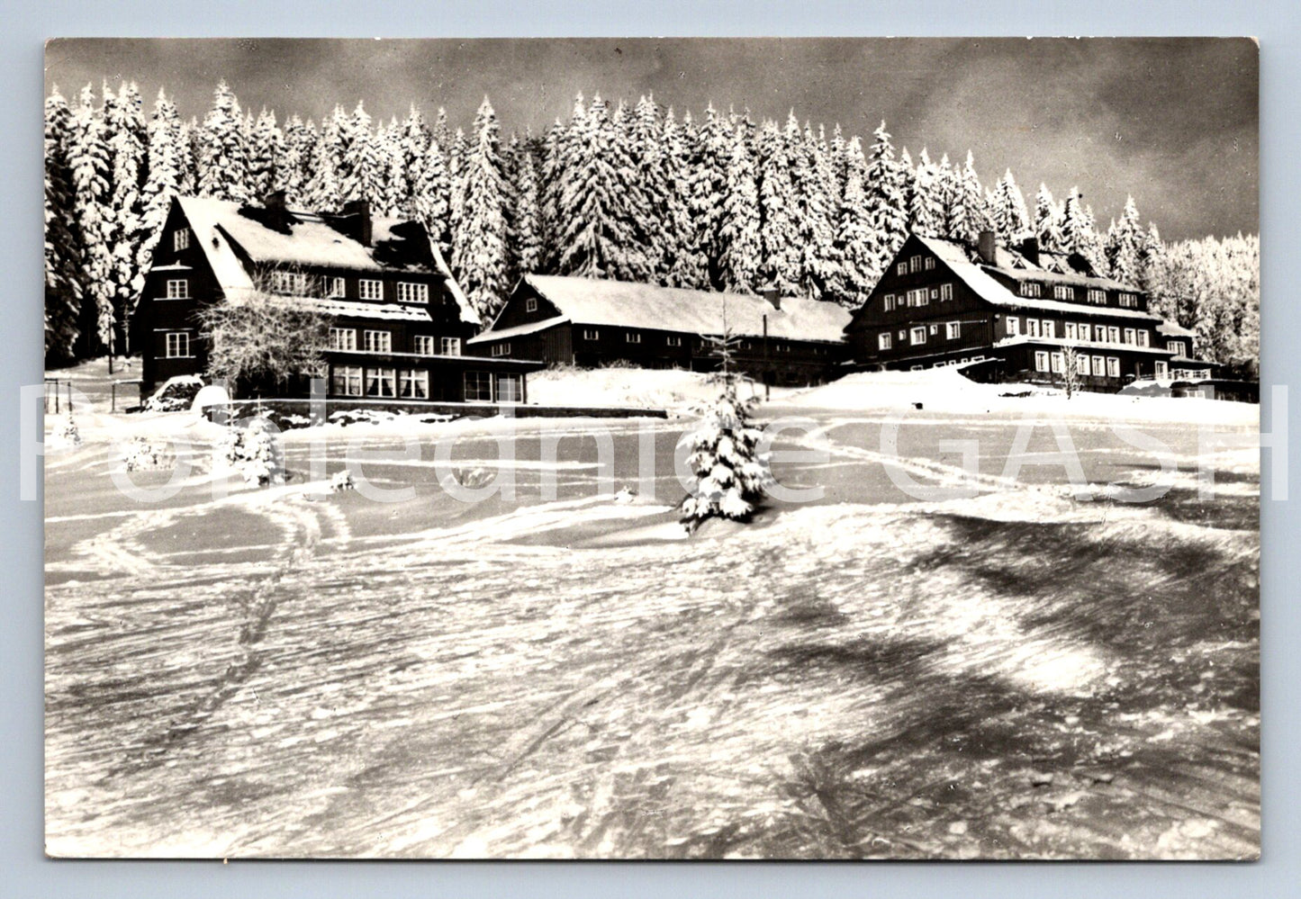 Pohlednice KRKONOŠE -DAVIDOVA BOUDA (ST11080)