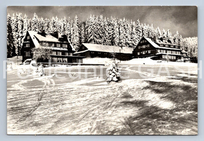 Pohlednice KRKONOŠE -DAVIDOVA BOUDA (ST11080)